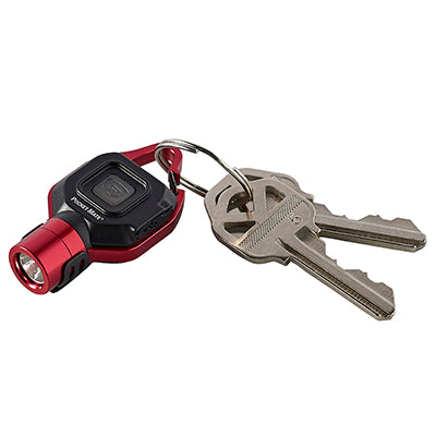 Pocket mate keyring