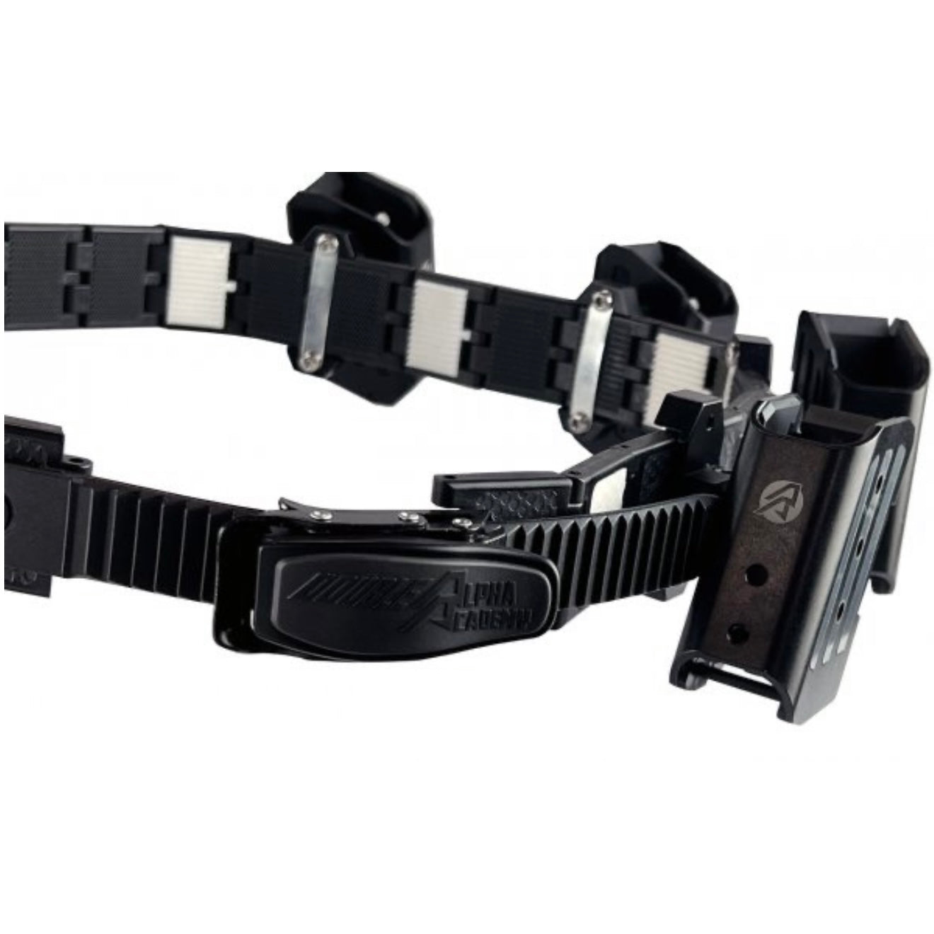 DAA Lynx Belt Ratchet Buckle belt